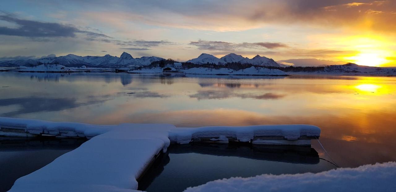 Ringstad Resort Bo (Nordland) Exteriör bild