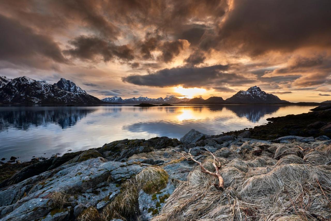 Ringstad Resort Bo (Nordland) Exteriör bild